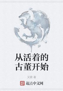 海贼之盗王之王