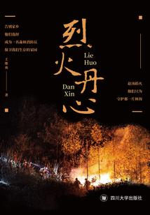 消失的山