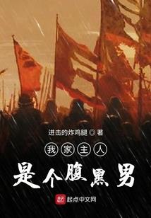 风雨只影