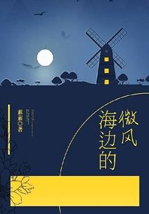 如果穿越能拯救妹妹的话