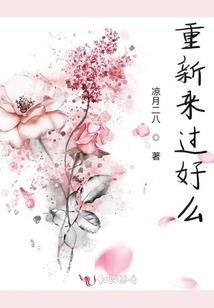 侦记