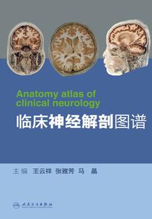 真的是做梦吗