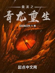 星圣大地之枪林弹雨