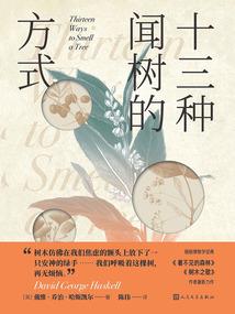如露如电