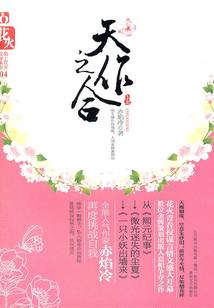 水货侦探