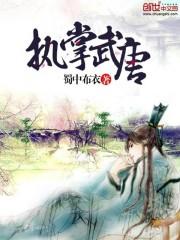 梦蝶的故事