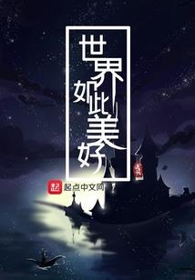新次元计划