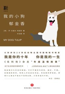 穿越杀戮系统