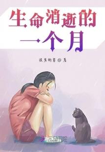 寻桉来