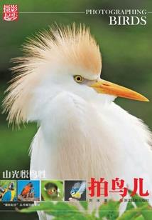 弃少逆天之路