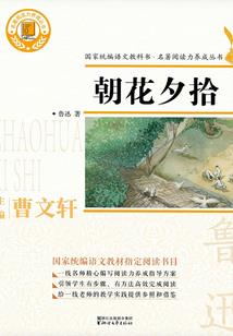 飞上枝头嫁凤王