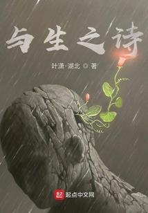 随星录