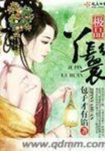 穿越天才妻子