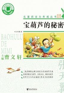 绽放的血罂粟