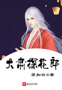 巫师世界的钢铁侠
