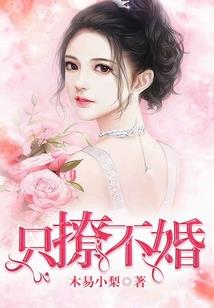 蝴蝶公主之凤凰之女归来第二部