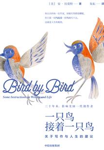不完整爱情