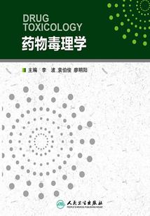 天道掌门人