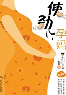 双世情缘之绝世宠妃