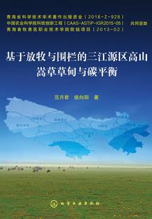 查理九世：最后的佛像