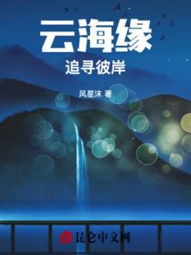 大宋第一相公