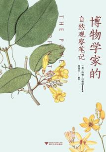 只为与你携手