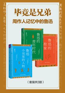 病娇前夫的秘密