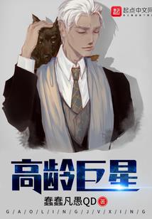 公交之路
