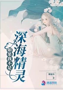 沐府传前世