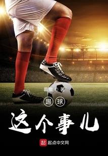 圣殿骑士团长的野望