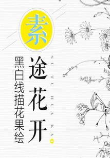 蜃影维度
