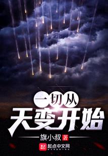 猫咪宝贝