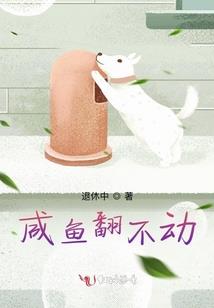灵猫小七子