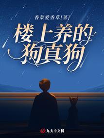 青泊志