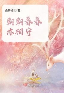 海上海鸥