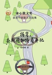 傻子王爷的杀手王妃
