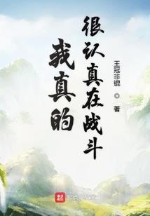 叶雨记北