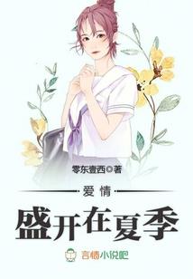 《看见太阳》