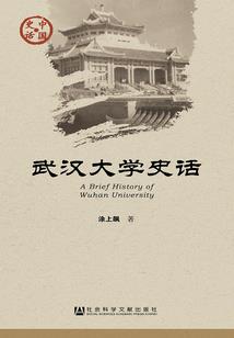 三国之征伐诸夷