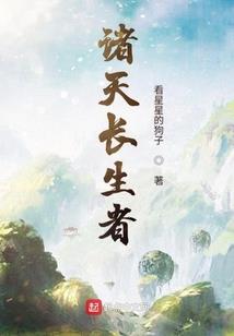 神奇宝贝之踏上征途