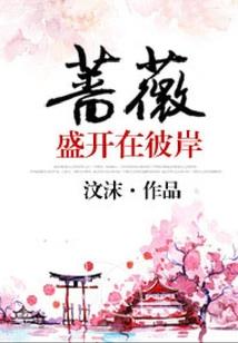 傲娇朱雀腹黑萌君