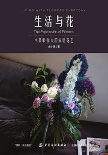 龙蝶舞