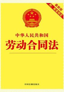 虹舞天下