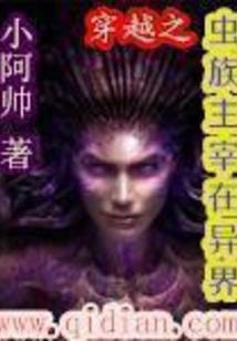 人族魔法师