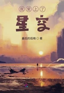 神奇宝贝之暗羽星赤