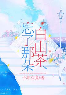 武林奇案录