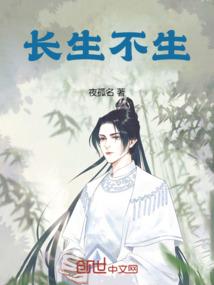 星空游民