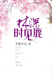 音速侠