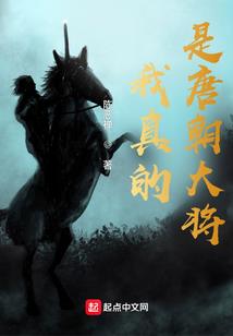 花与太阳