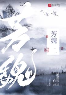 美人书之庶女倾城